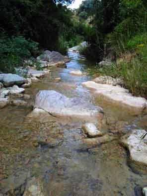 Excursión de fin de curso alumnos Colegio Público Rural Blas Infante.